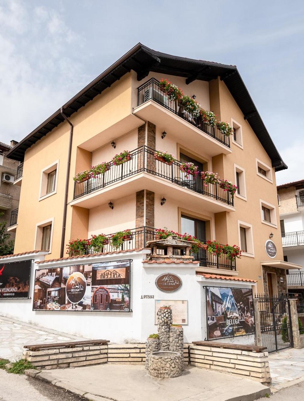 Beluga Guest House Velingrad Eksteriør billede